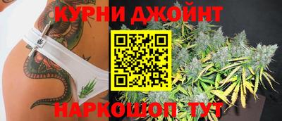 молекула духа Бердск