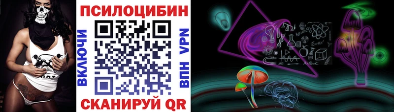 Псилоцибиновые грибы MAGIC MUSHROOMS  где купить наркоту  Канск 