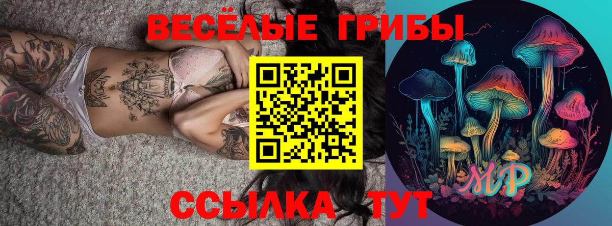 Галлюциногенные грибы прущие грибы  Псилоцибиновые грибы мицелий  Канск  что такое наркотик  Вход с VPN 