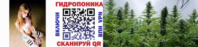 Каннабис SATIVA & INDICA  гидра вход  Канск 